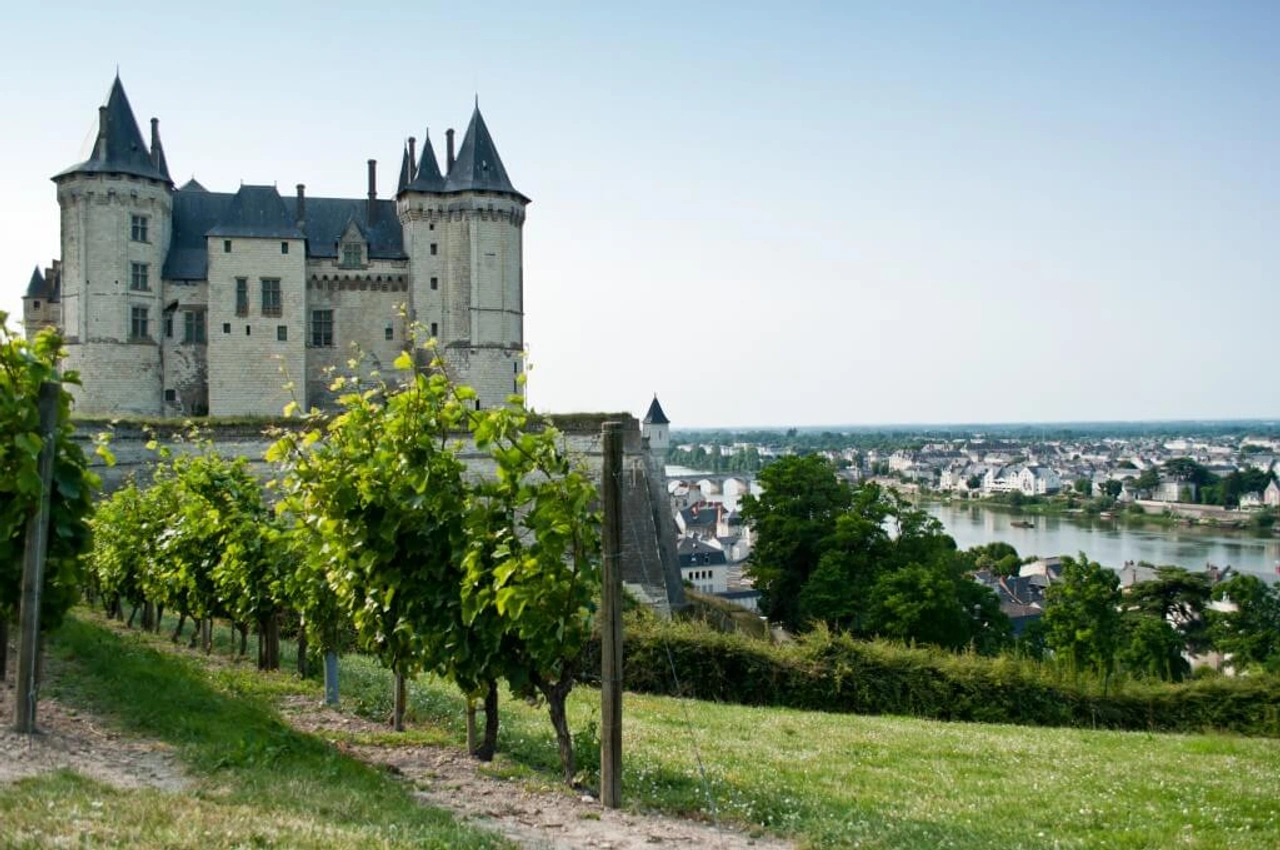 De Loire en haar Chenin Blanc
