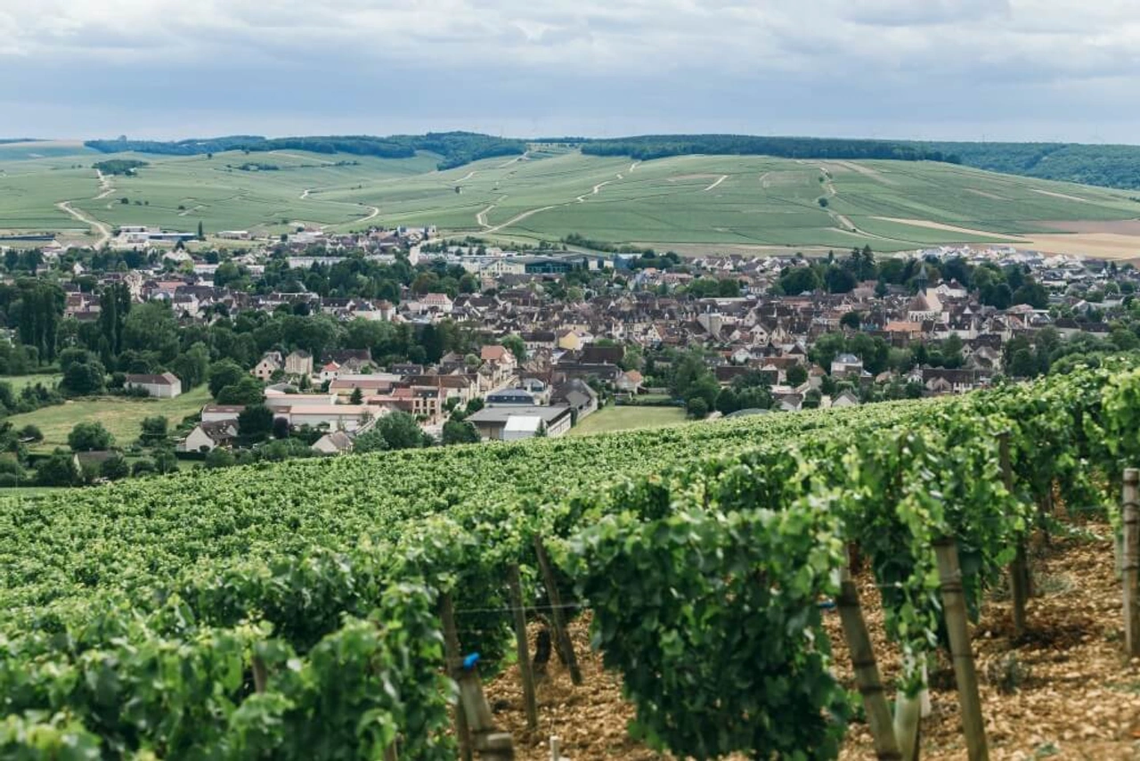 Alles over de Franse Bourgogne en zijn “kleine” Chablis