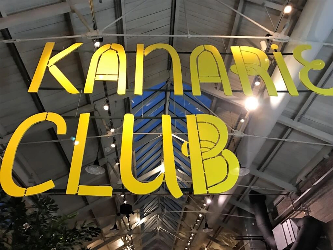 Kanarie Club: jungle vibes & pool parties