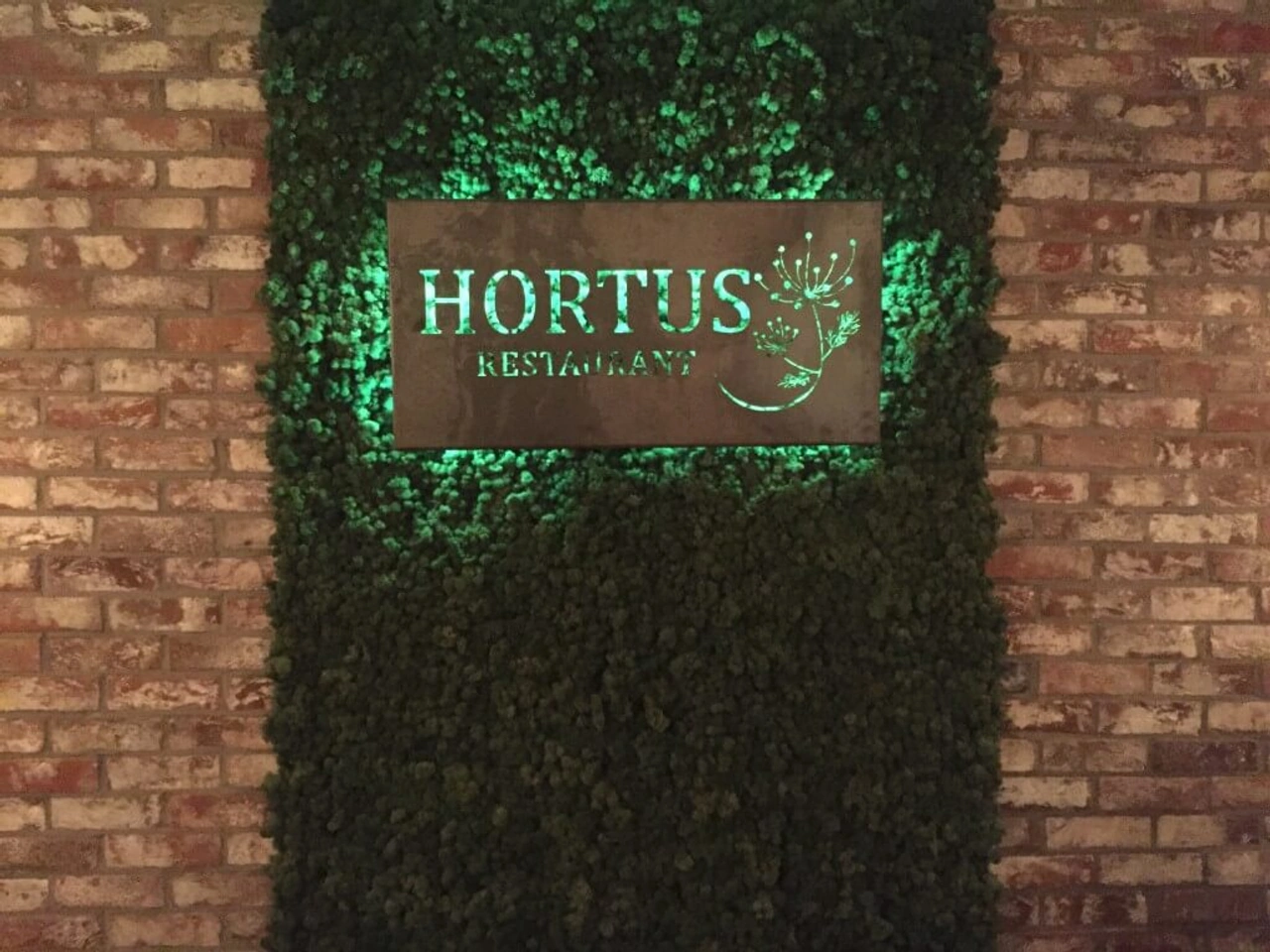 Hortus: Vegan in Den Haag