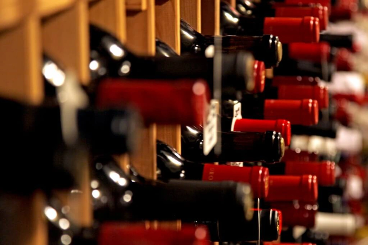 Spoedcursus wijn: rode wijnen