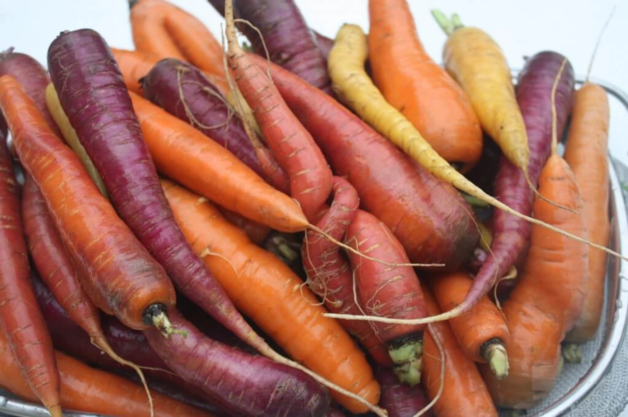 Vergeten groente: ovenschotel met rode en oranje wortel