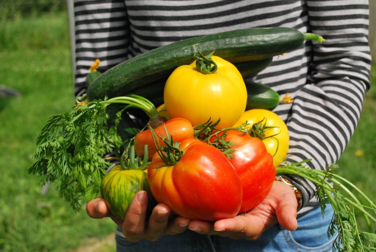 Welke groenten bevatten de meeste voedingsstoffen?