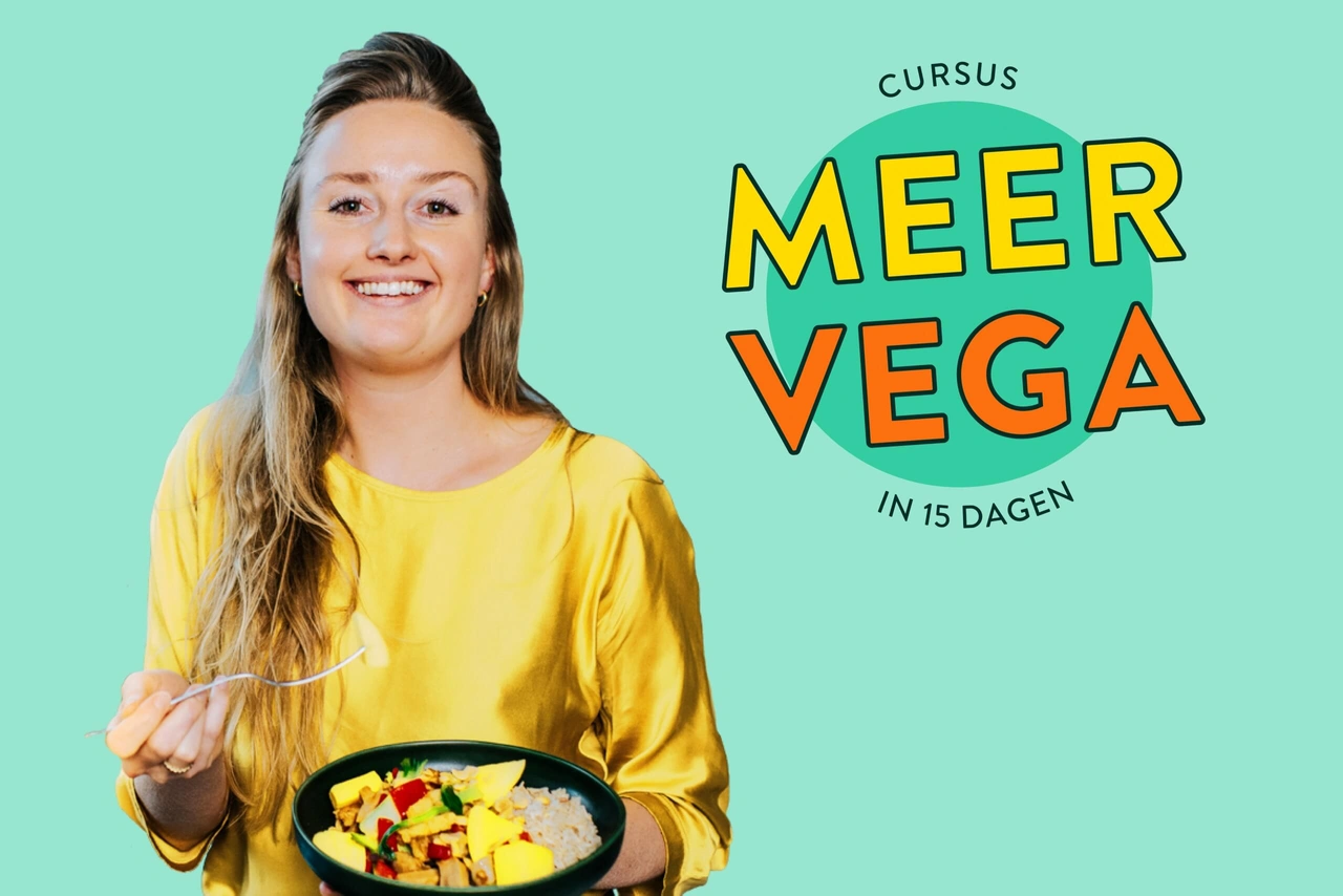 NIEUW: Cursus vleesminderen in 15 dagen met De Hippe Vegetariër