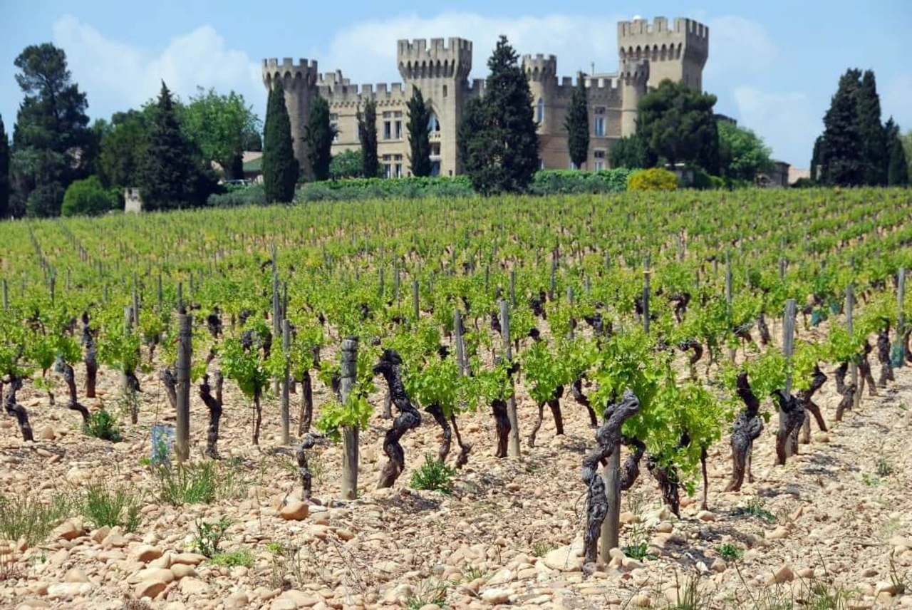 6 x wat je moet weten over wijn uit de Franse Rhône (Isabel’s favoriet!)