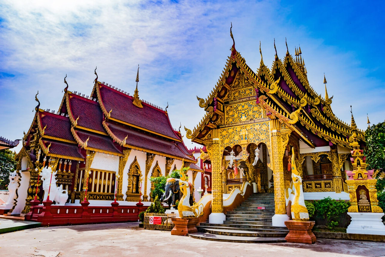 Vega hotspots in Chiang Mai