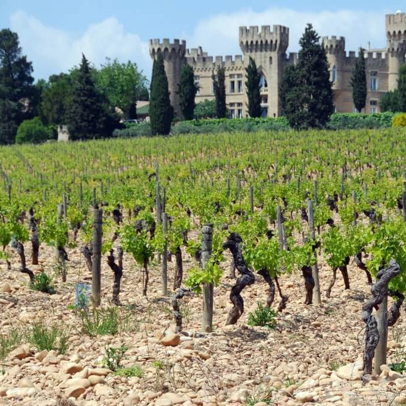 6 x wat je moet weten over wijn uit de Franse Rhône (Isabel’s favoriet!)